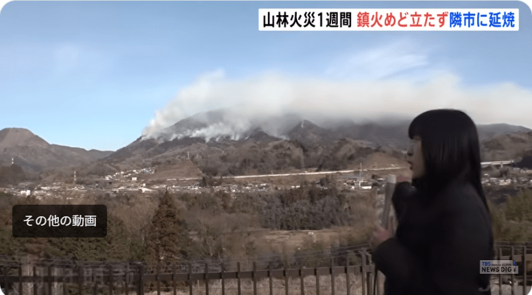 画像に alt 属性が指定されていません。ファイル名: 20260115e5b1b1e6a2a8e5b1b1e781abe4ba8b2.png