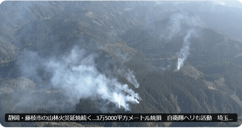 画像に alt 属性が指定されていません。ファイル名: 20260118e897a4e69e9de5b1b1e781abe4ba8b.png